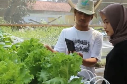 Potensi Teknologi Pertanian dan Ketahanan Pangan Desa